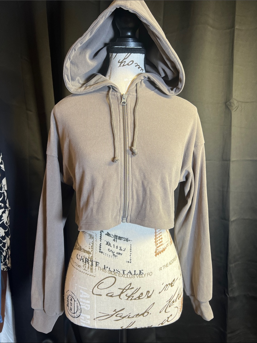 wild fable Cropped Hooded Zip-Up in Taupe